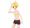 FLenSwimshorts.png